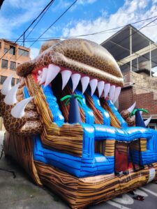 Servicio de alquiler inflable económico para eventos familiares